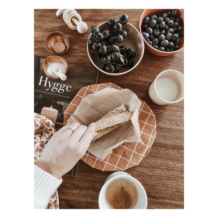 Couvre plat alimentaire Check | Terracotta- Image produit n°2