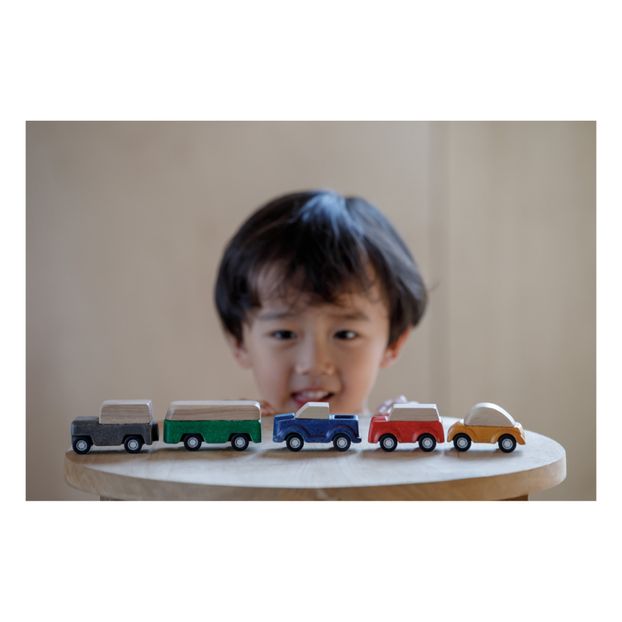 Mini Wooden Vehicles - Set of 5-product