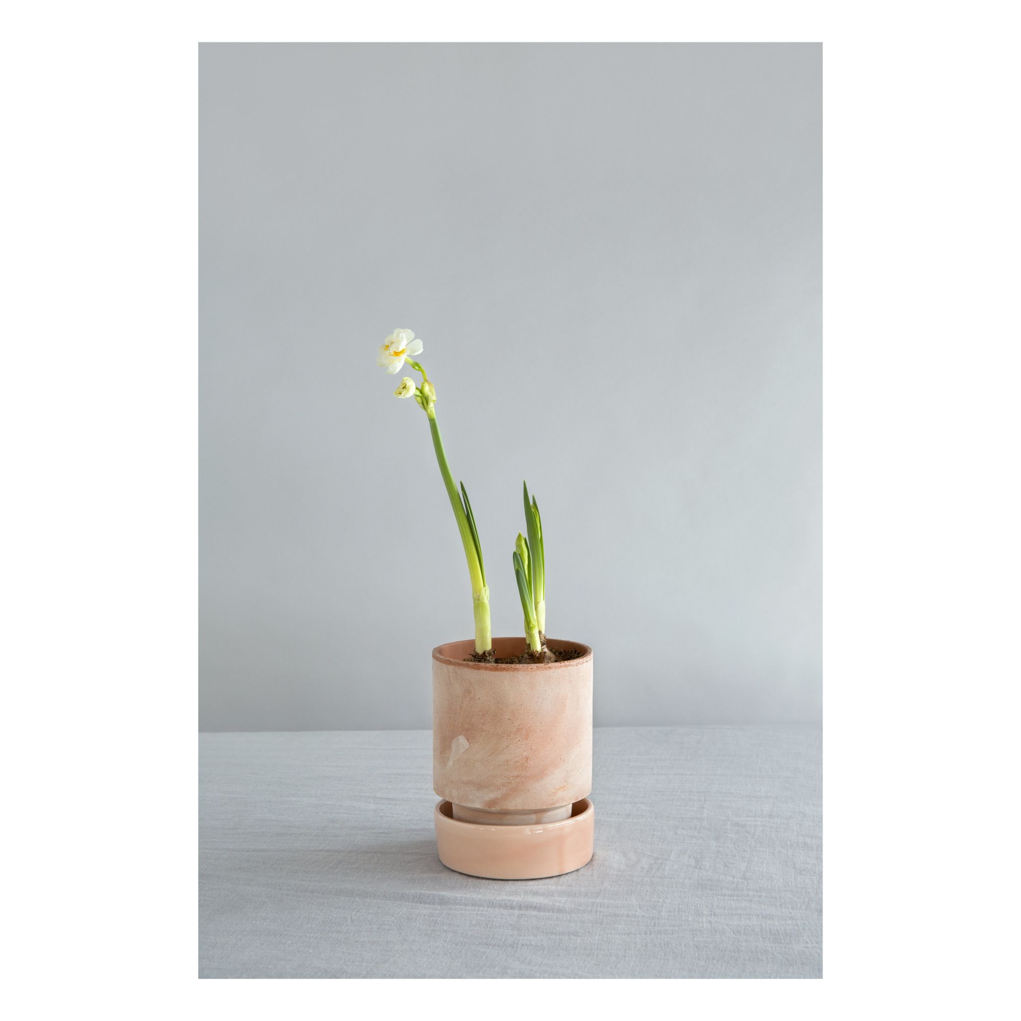 Hoff Pot Nude Bergs Potter Design Adult Smallable