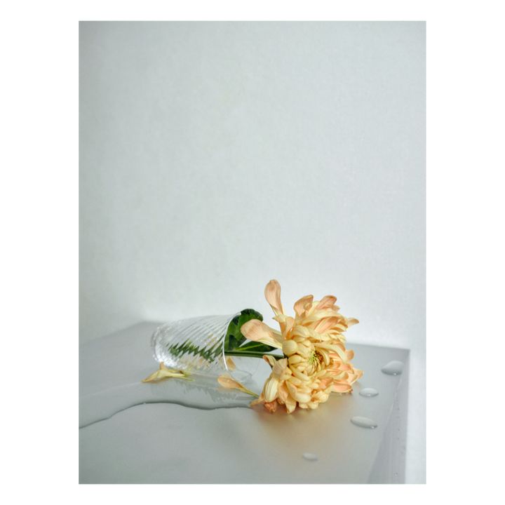 Vaso Collect- Imagen del producto n°4