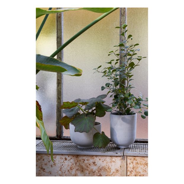 Collect Pot-product