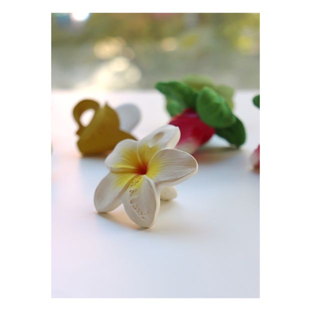 Jouet de dentition Fleur-product