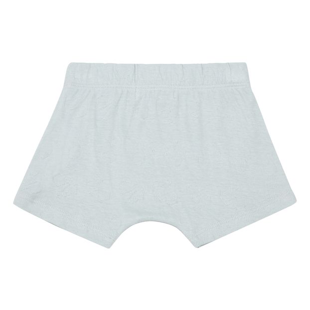 Organic Cotton Boxer Shorts -product