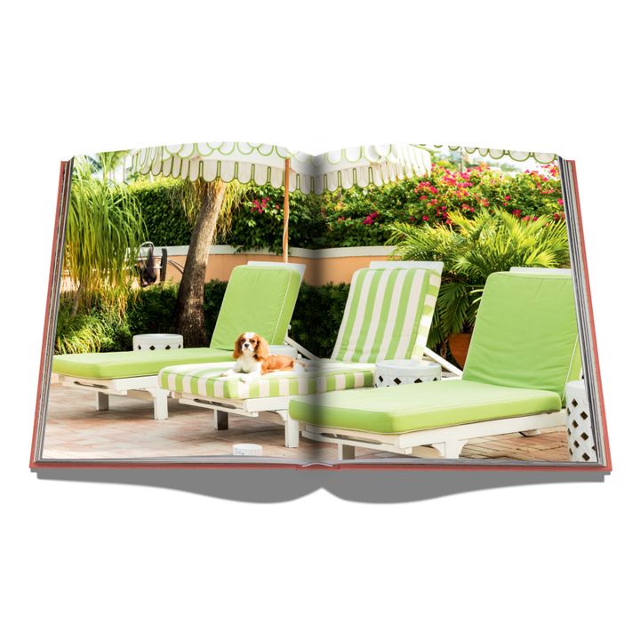 Palm Beach- Imagen del producto n°6
