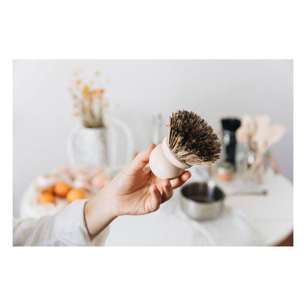 Pot Brush-product