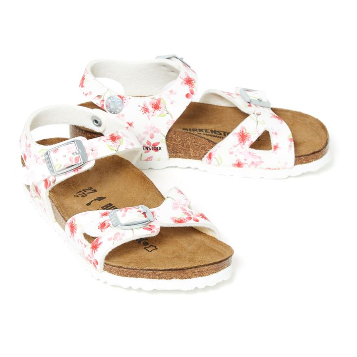 Sandalias Rio Blanco- Imagen del producto n°2