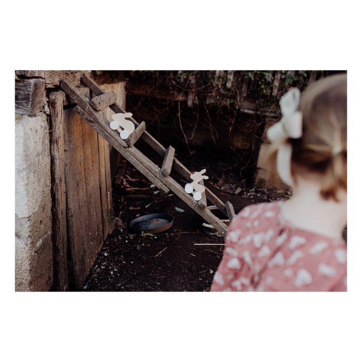 Ane et Lapin à pousser en bois- Image produit n°6