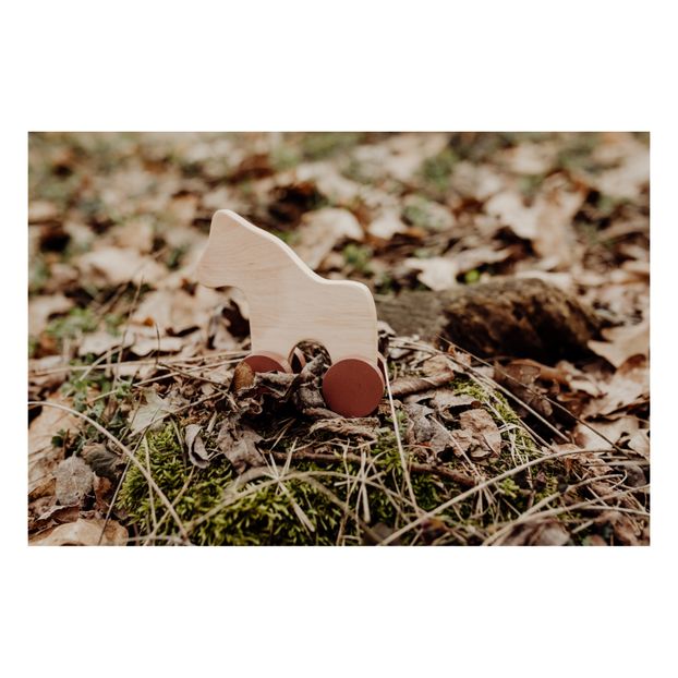 Pferd und Vogel aus Holz zum Schieben-product