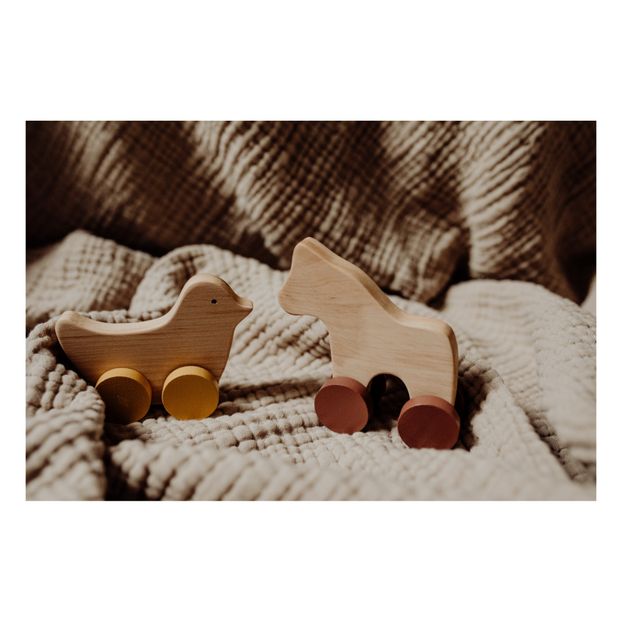 Pferd und Vogel aus Holz zum Schieben-product