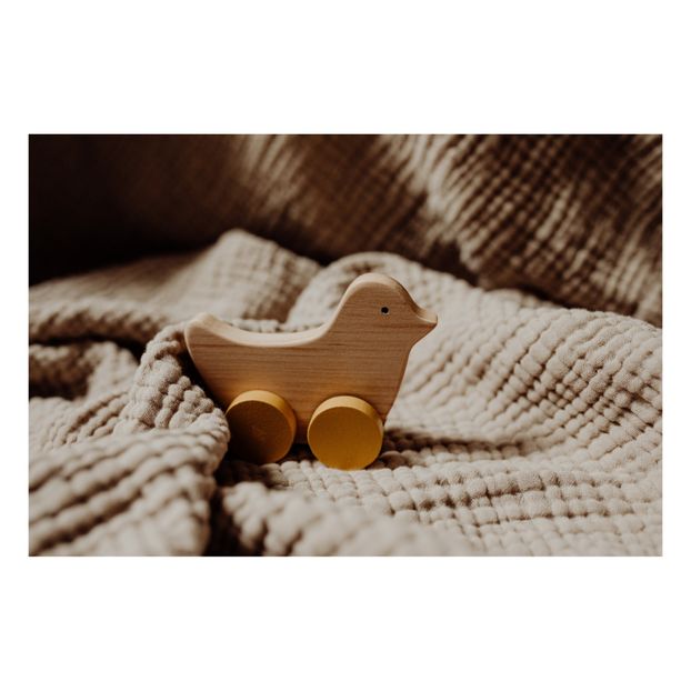 Pferd und Vogel aus Holz zum Schieben-product