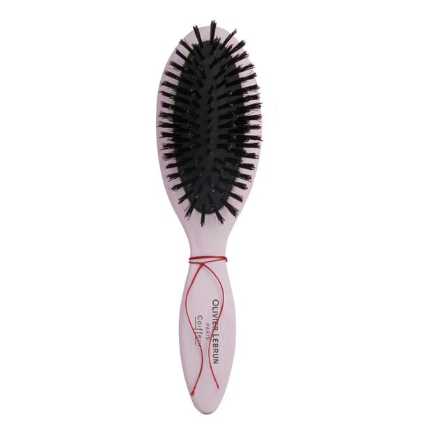 Brosse unique à transporter -product