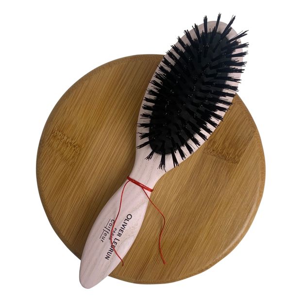 Brosse unique à transporter -product