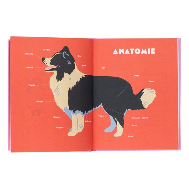 Libro Perros - E. Chazerand & N. Wilkinson-product
