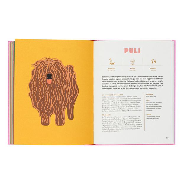 Libro Perros - E. Chazerand & N. Wilkinson-product