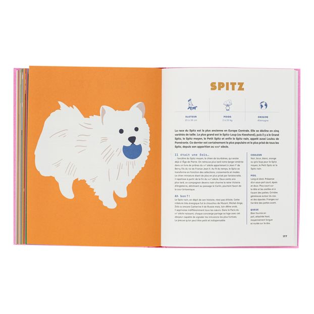 Libro Perros - E. Chazerand & N. Wilkinson-product