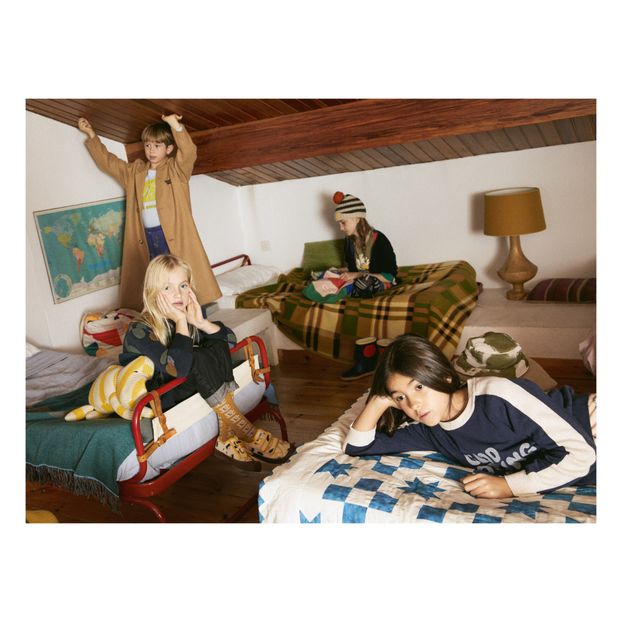 Baskets Chiens-product