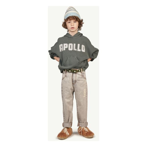 Kapuzen-Sweatshirt Apollo Bieber-product