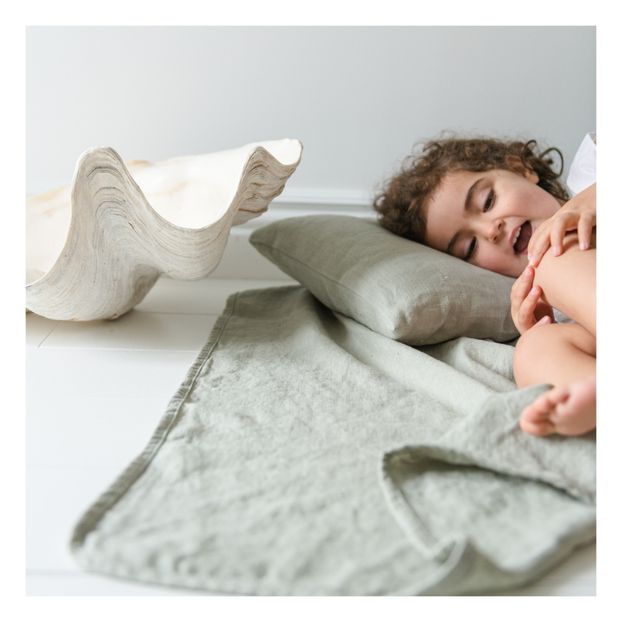Coussin Gaston en lin lavé-product