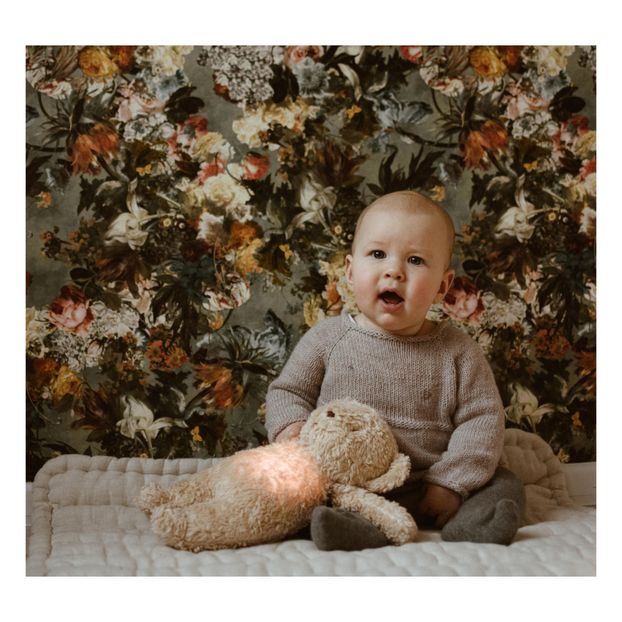 Peluche Ourson veilleuse musicale-product
