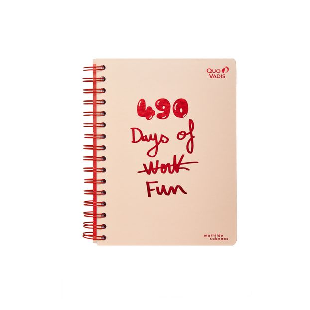 Agenda 490 days of fun-product