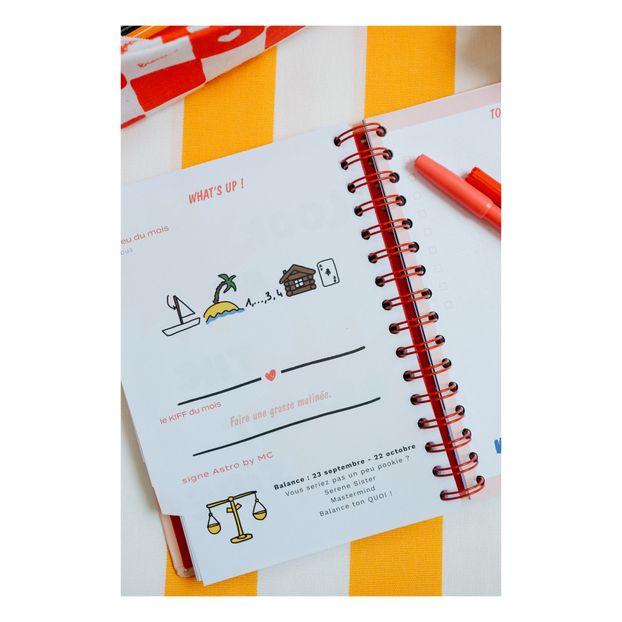 Agenda 490 days of fun-product