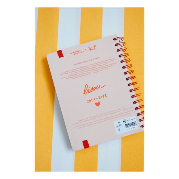 Agenda 490 days of fun-product