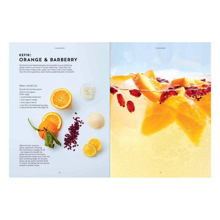 Kombucha, Kefir & Natural Sodas - EN- Image produit n°3