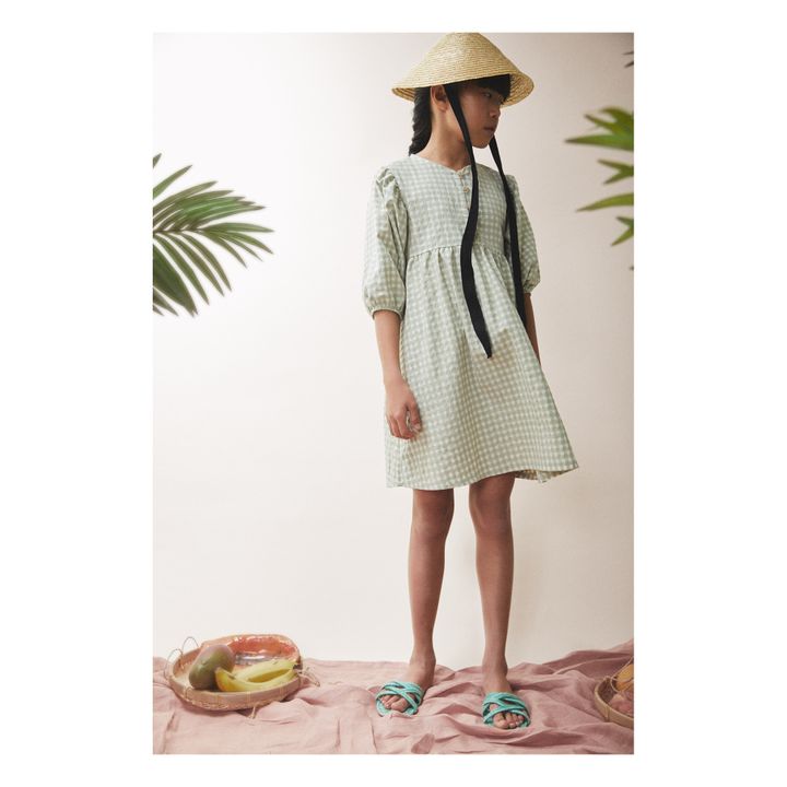Corie Dress Sage- Product image n°2