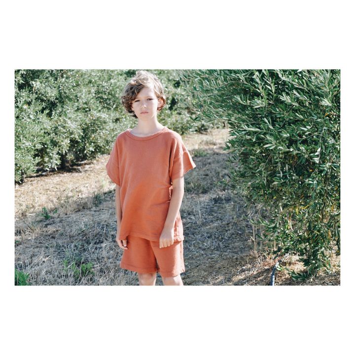 Camiseta de algodón orgánico Antero Terracotta- Imagen del producto n°2