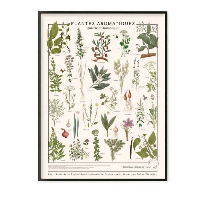 Planche les trésors de la Bibliothèque Nationale Herbes aromatiques 60x80 cm- Image produit n°0