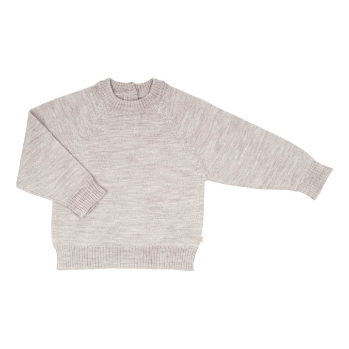 Pull Mérinos Delmar | Gris clair- Image produit n°0