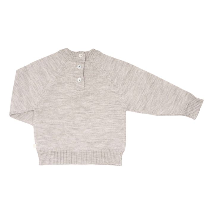 Pull Mérinos Delmar | Gris clair- Image produit n°5