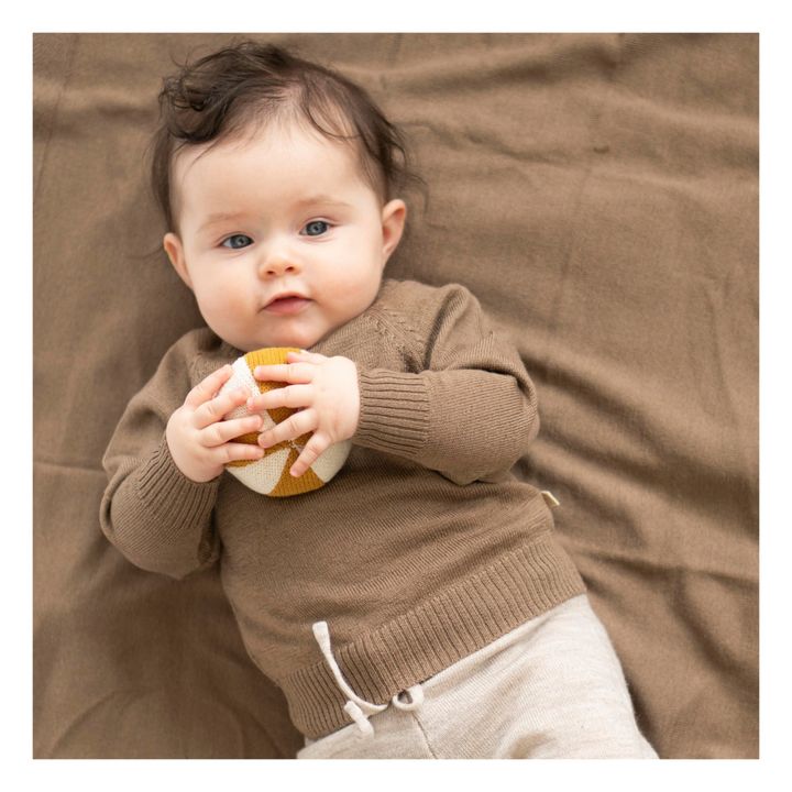 Delmar Merino Wool Jumper | Camel- Imagen del producto n°1