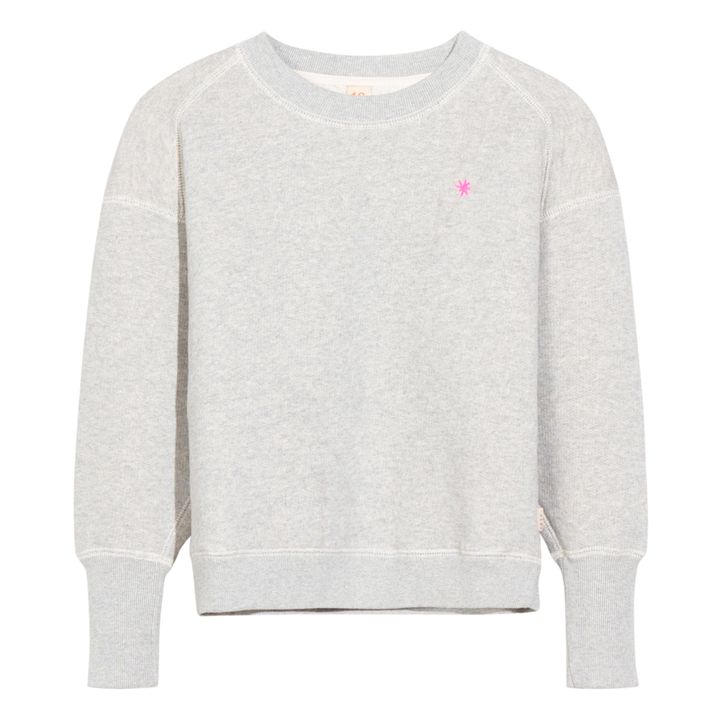 Sweat Fadem Gris- Image produit n°1