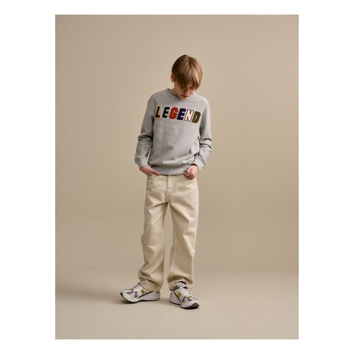 Sweat Fago Gris- Image produit n°1