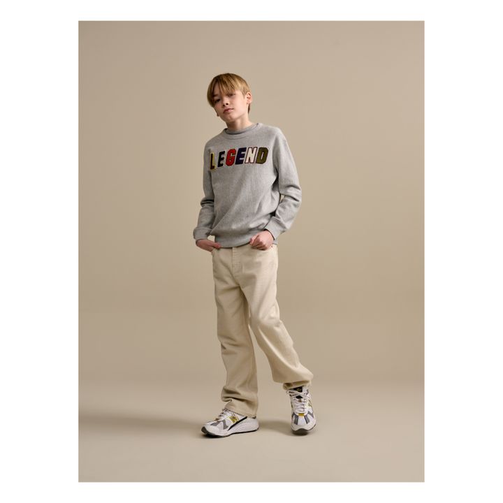 Sweat Fago Gris- Image produit n°3