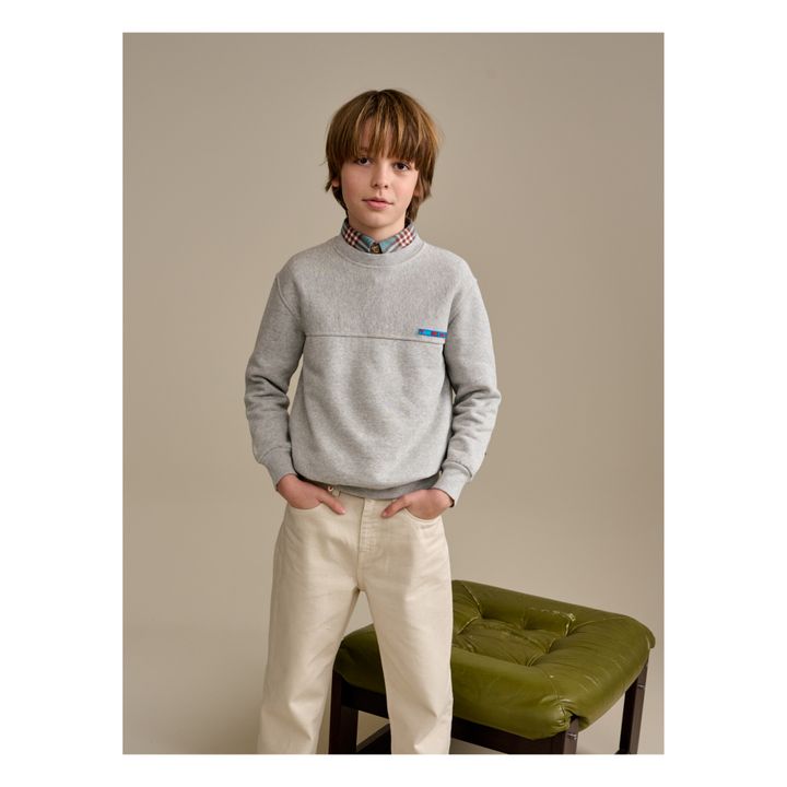 Sweat Famod Coton Bio Gris- Image produit n°1