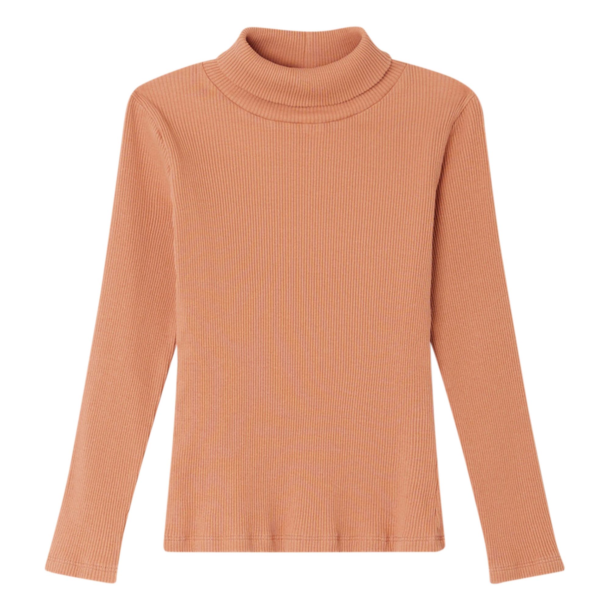 Tahiti Ribbed Turtleneck | Dusty Pink- Product image n°0