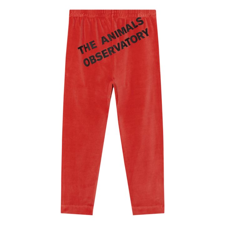 Legging Velvet Camaleon Rouge- Image produit n°3