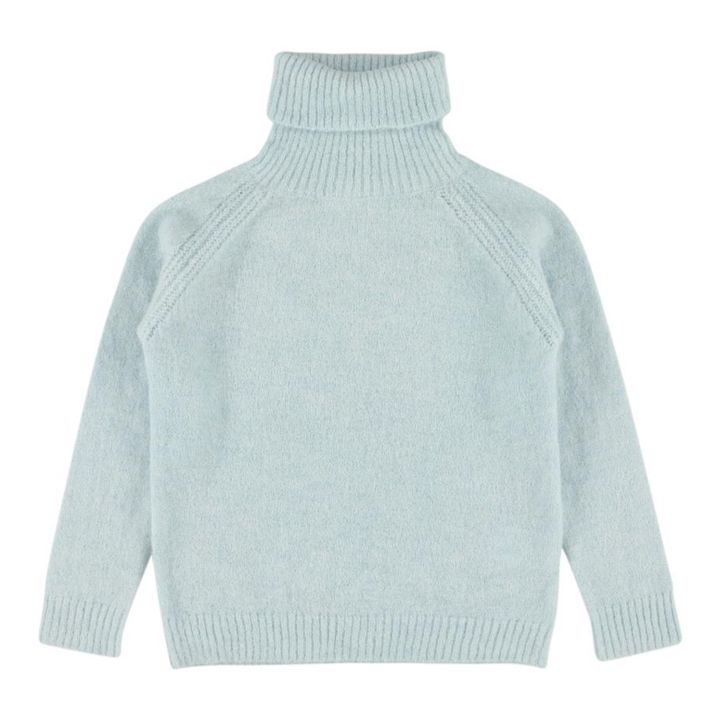 Pull Col Roulé Mason | Bleu- Image produit n°0