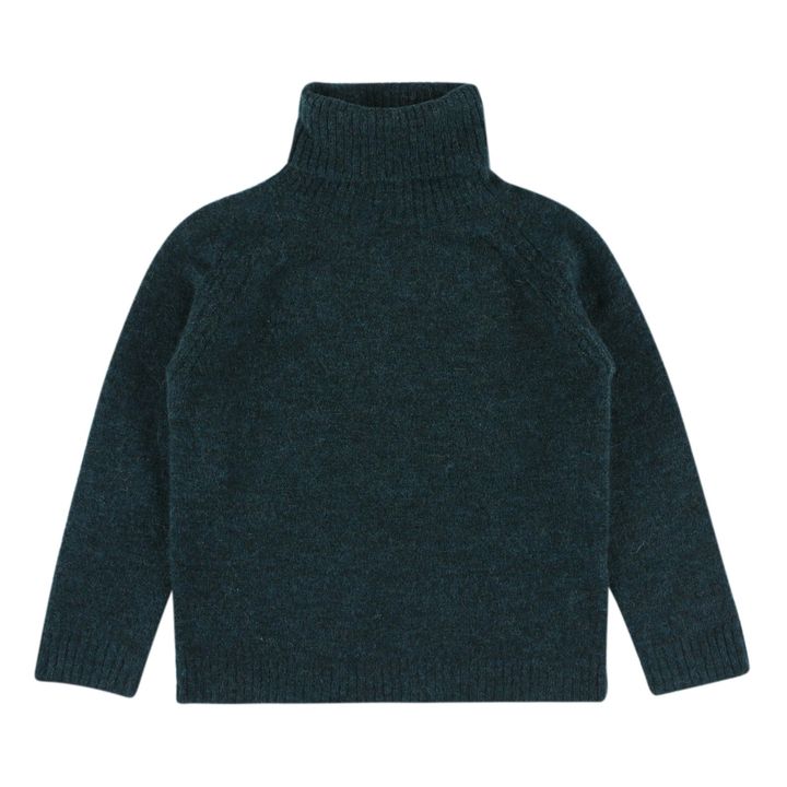 Mason Roll Neck Jumper | Verde- Imagen del producto n°0