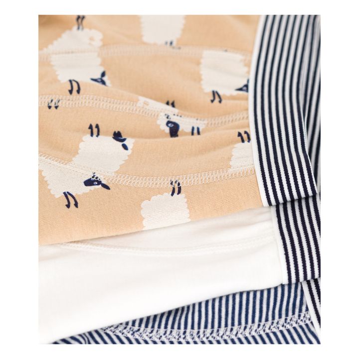 Organic Cotton Sheep Briefs - Set of 3 | Beige- Product image n°1