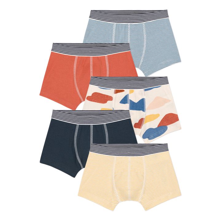Organic Cotton Cloud Briefs - Set of 5 | Rostfarben- Produktbild Nr. 0