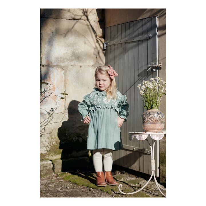 Main Illi Embroidered Checked Organic Cotton Dress Sage- Product image n°1