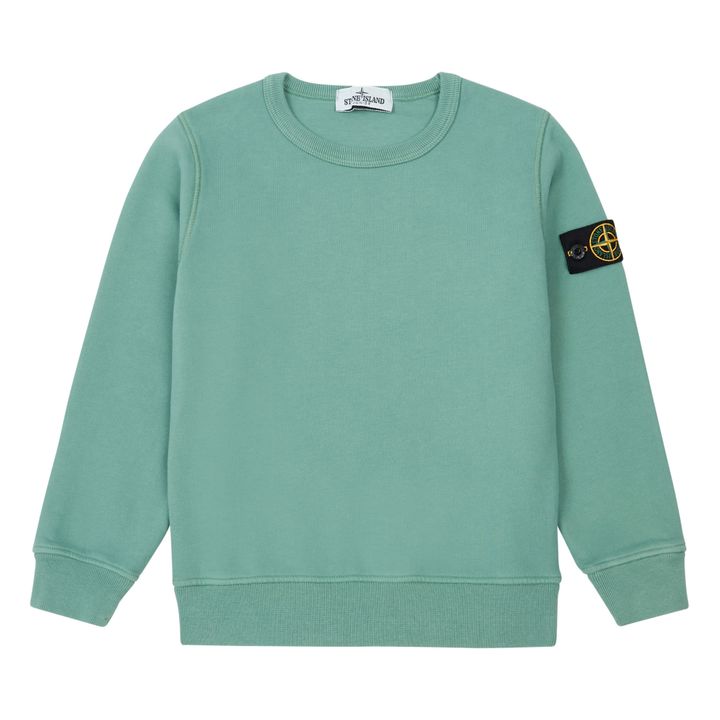 Sweat Basic Sauge- Image produit n°0