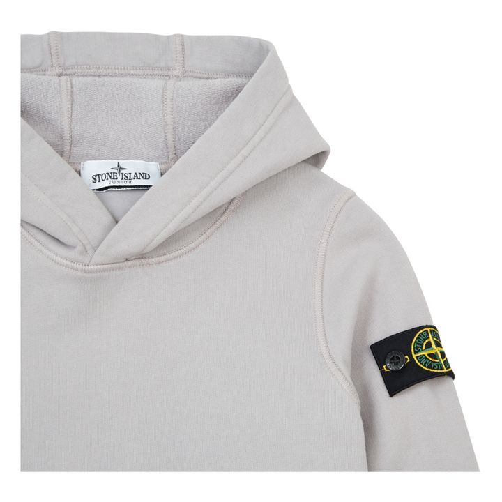 Classic Hoodie Gris- Imagen del producto n°1