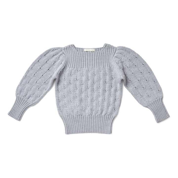 Pull Mérinos Winona | Bleu gris- Image produit n°0