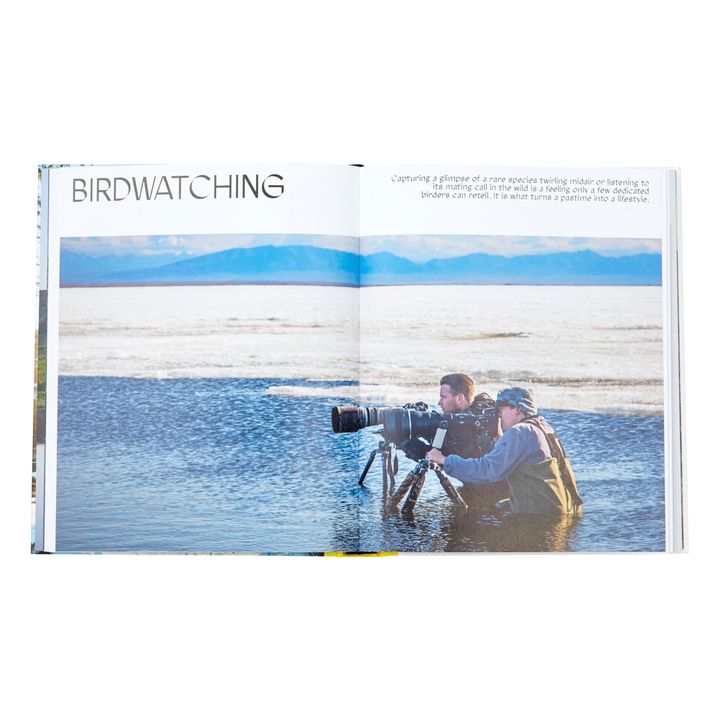 The new outsiders - EN- Image produit n°1