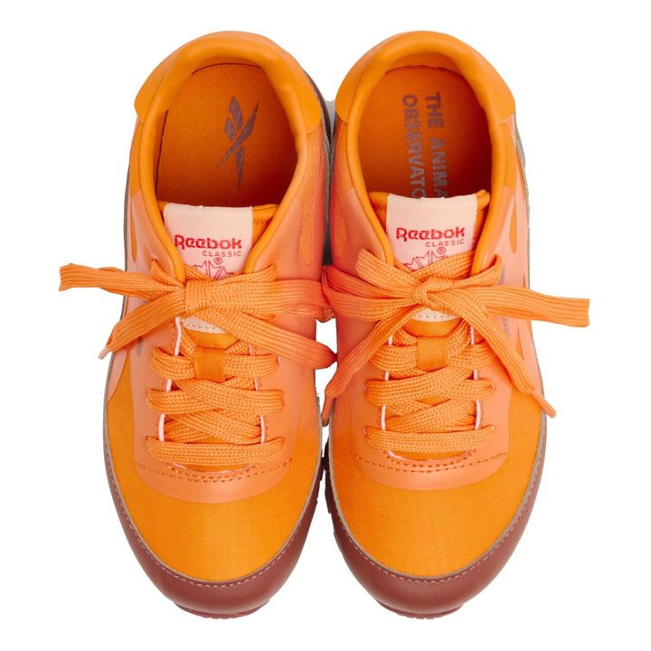 The Animals Observatory X Reebok Classic Sneakers | Naranja- Imagen del producto n°9