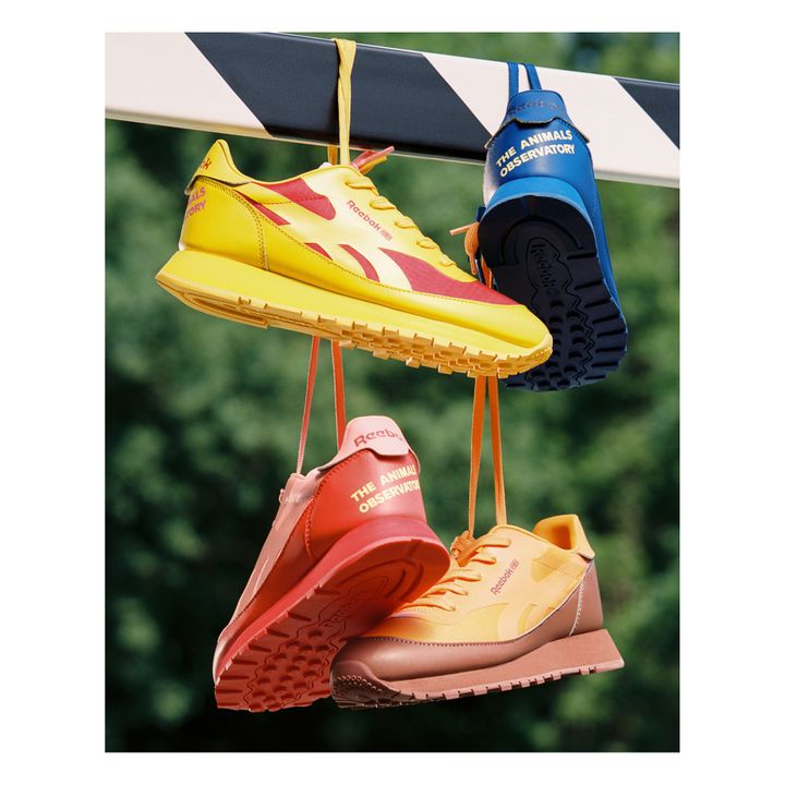 Basket The Animals Observatory X Reebok Classic | Jaune- Image produit n°10